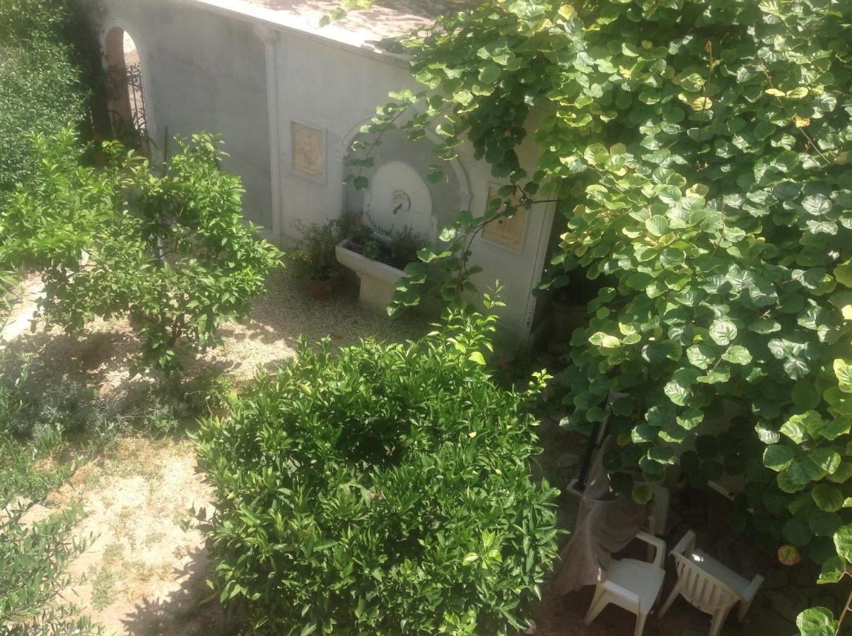 Confort Avec Terrasse